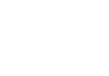 Logo Ironic Iconic